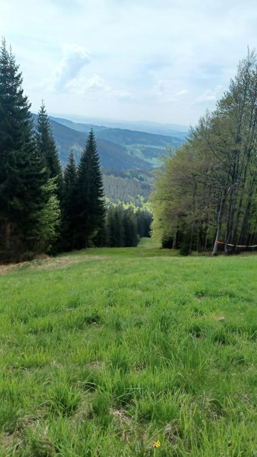 Panorama Apartman Svadlenka Rokytnice nad Jizerou Exterior foto