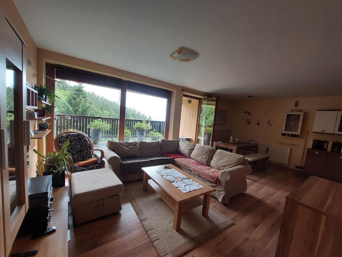 Panorama Apartman Svadlenka Rokytnice nad Jizerou Exterior foto